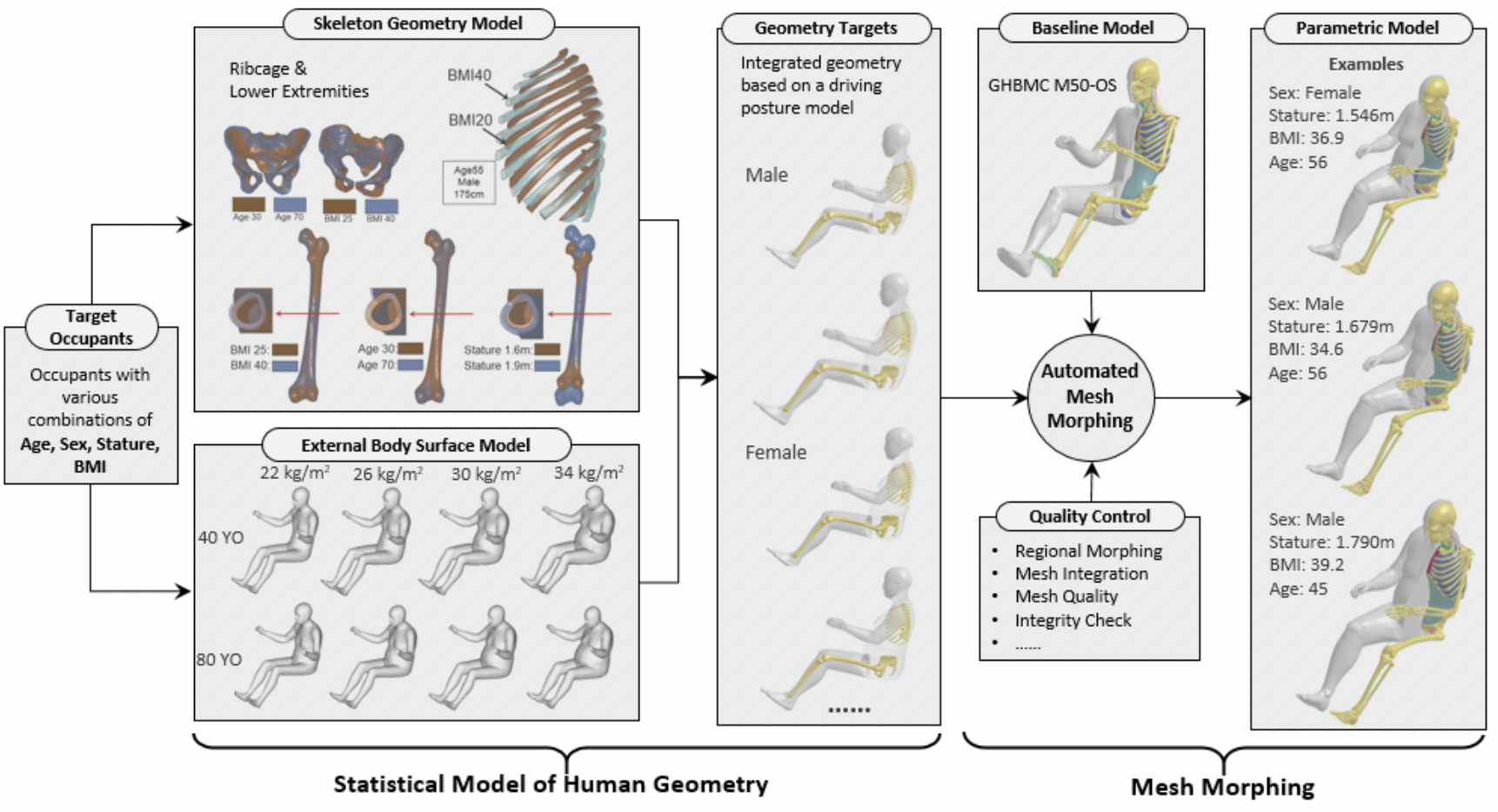 Parametric human body modeling for crash simulation