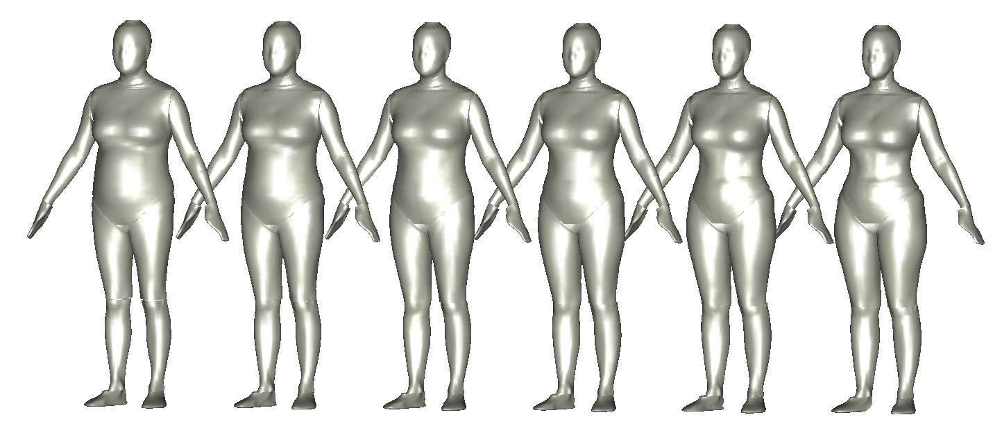 Female Body Shapes