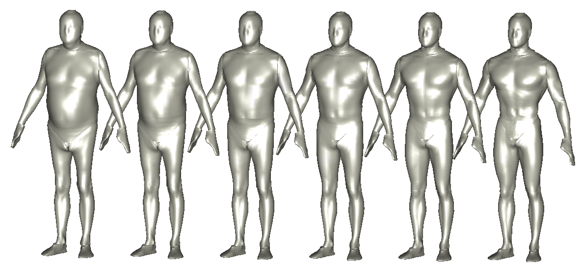 Male Torso Shapes