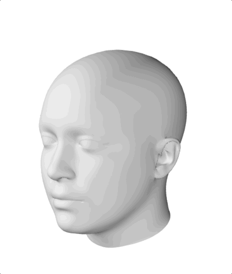 UMTRI head shape model
