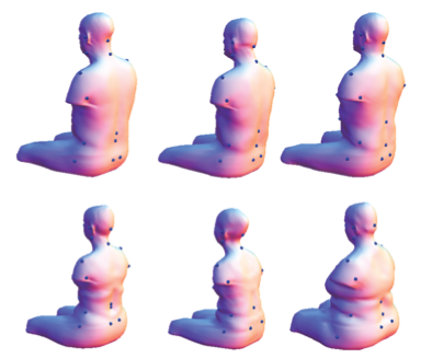 seated torso models