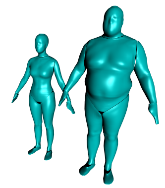 Whole-body surface anthropometry model